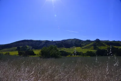 DSC_6134 (Large).JPG